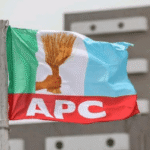 Bauchi Govt Dissolves Wikki Tourist Mgt After NPFL Relegation